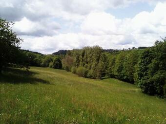 Bed & Breakfast Chateau de La Lucazi�re