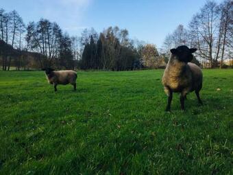 Demeure Normande Authentique En Bord de Rivi�re