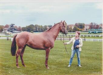 Haras De La C�re