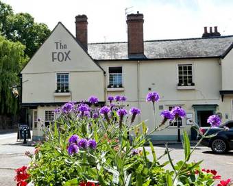 Posada The Fox