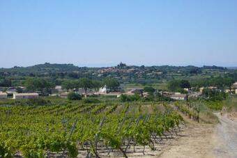 Le Petit Mas Du Vign�