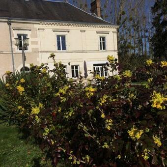 Les Moulins De Requeugne