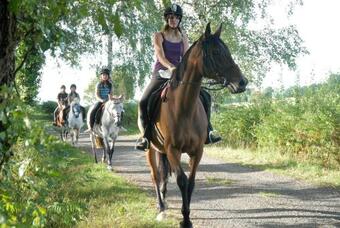 Ver fotos