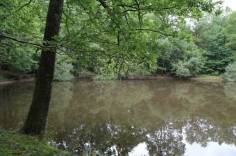 B&B Le Four � Chaux