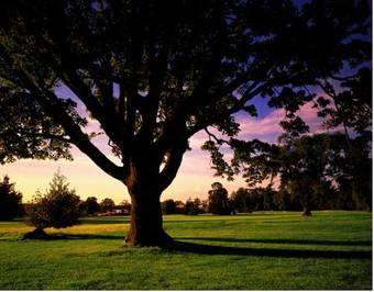 Meon Valley Marriott Hotel & Country Club