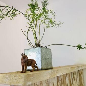 Hostal Le Grand Dehors 01