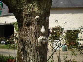Bed & Breakfast Chambre D'h�tes Le Vaujoint