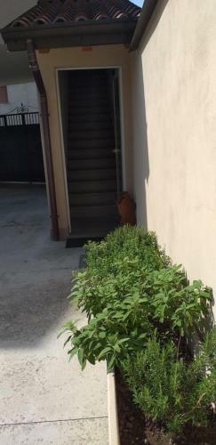 Up B&B