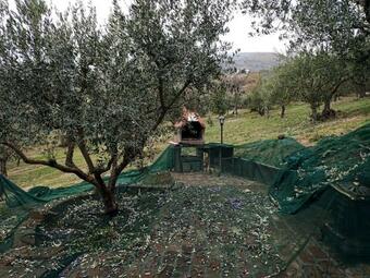 Hostal Al Casolare