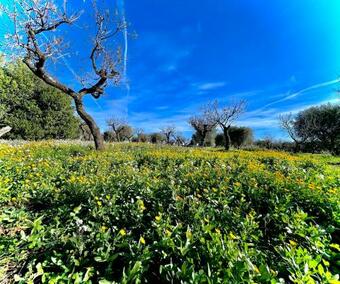 Agroturismo Antica Masseria