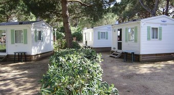 Camping 3 Estrellas