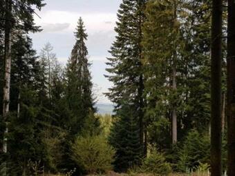 Apartamento Ferienappartement Am Nadenberg