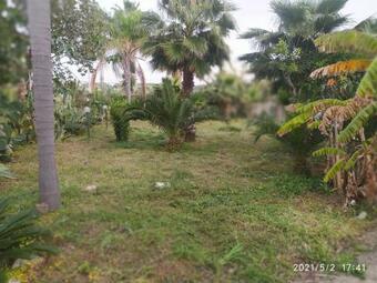 Apartamento Villa Mois� 2