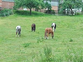 Apartamento Ferien Auf Dem Land Bei Familie Elsner