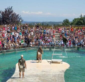 Bed & Breakfast Le Chalet Du Parc