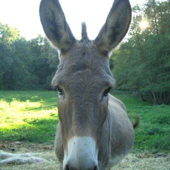 Le Casette In Collina