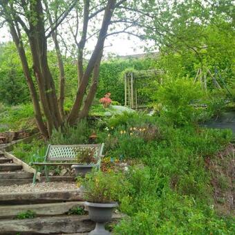 Bed & Breakfast Duck House