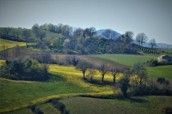 Bed & Breakfast Quelli Del Picchio