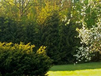 Bommeryd B&B