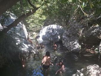 Ver fotos