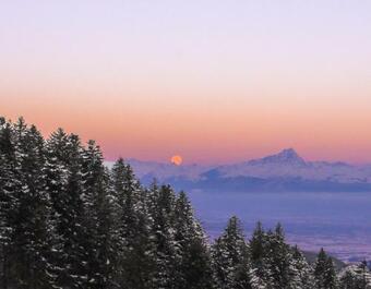 Apartamento Mirtilli Deluxe