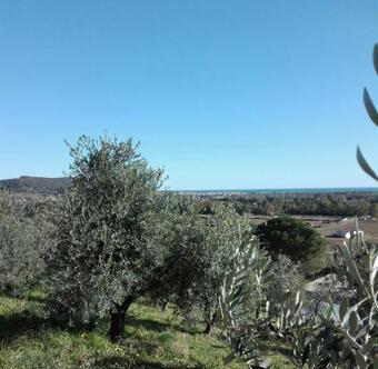 Agroturismo Agriturismo Cuccuru E Jana