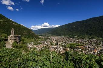 Ver fotos
