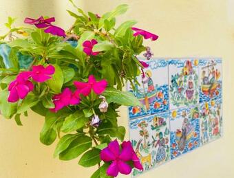 B&B Benincasa