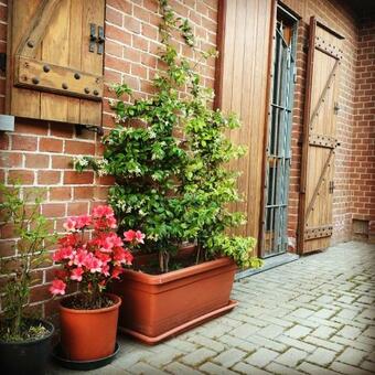 Bed & Breakfast Il Mio Gelso