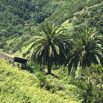 Casa Rural El Rinc�n De Antonia