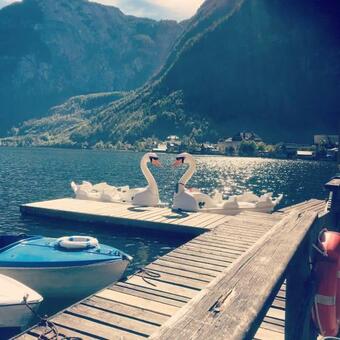 Alpen Apartement