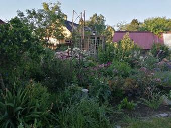 Lang�huset