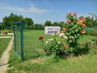 Hostal Flower Bike