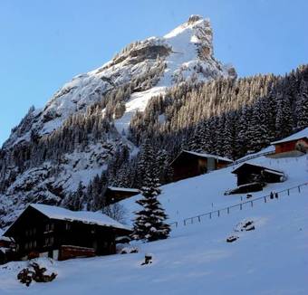 Hotel Alpina