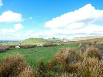 Harber Scar
