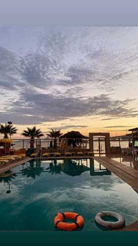 Clubrosebayhotel