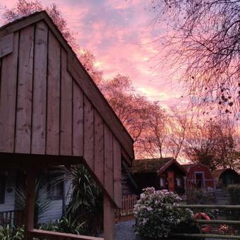 Apartamento Seaways Glamping, Silverbirch