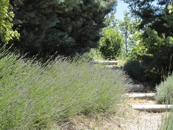 Un Gite De Charme En Haute Provence