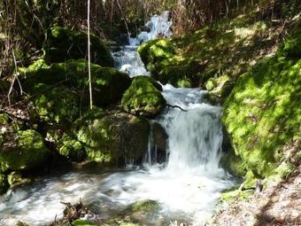 Apartamentos La Condesa