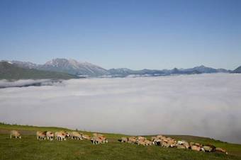 Hotel Le Viscos