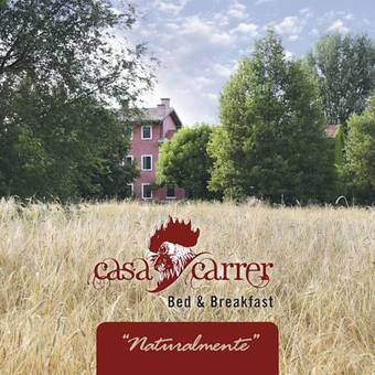 Casa Carrer B&B
