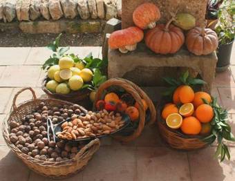 Agroturismo Farm Stay La Frescura Agriturismo
