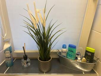 Sweet Home Inside Dresden Apartment One