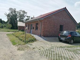 Holunder H�sken