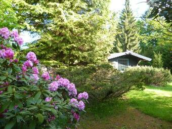 Apartamento Tom Olen Stien - Heidjer Ferien