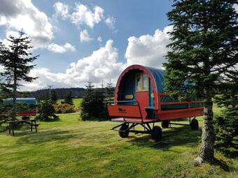 Clissmann Horse Caravans Glamping