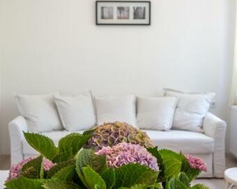 Apartamento Hortenzia Vend�gh�z M�r