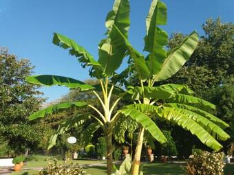 Apartamento Dimitriou Rooms