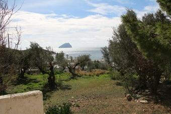????? ??????