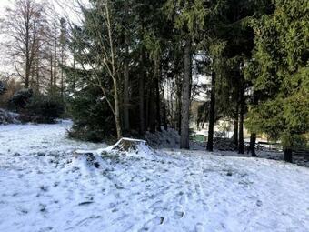 Apartamento Top Ferienwohnung Albergo In Altenau